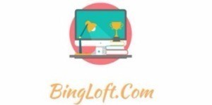 BingLoft Web Solution Hosting